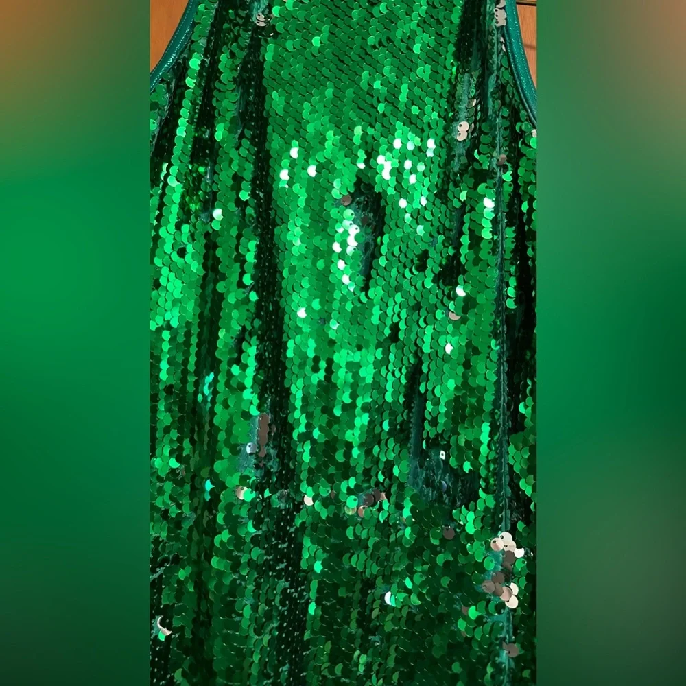 Dance Costume - Picture 4 of 5